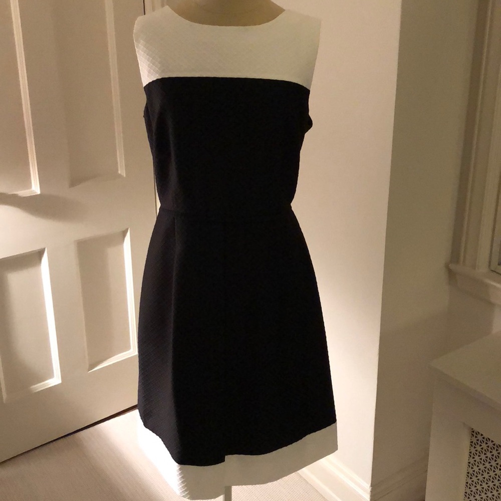 Black and white, fit and flare dress